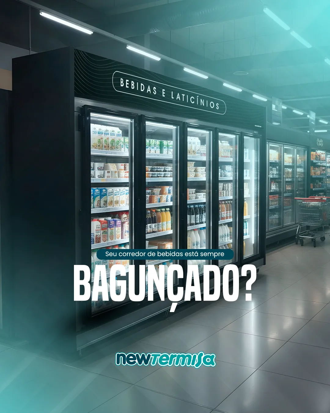 New Termisa - imagem do projeto