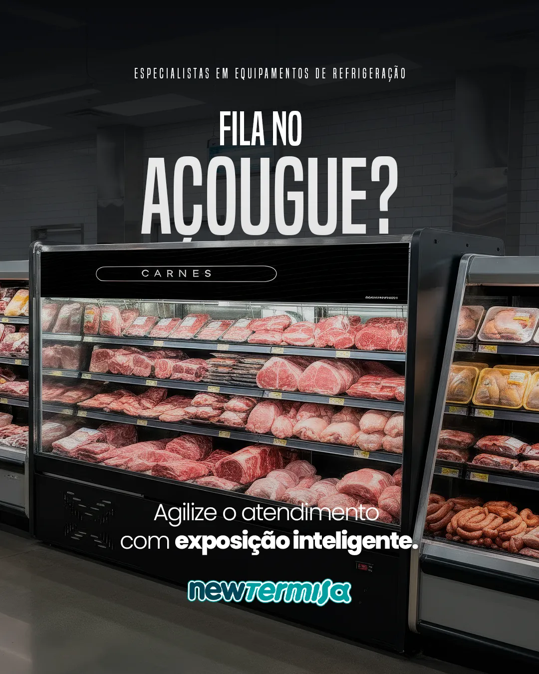 New Termisa - imagem do projeto